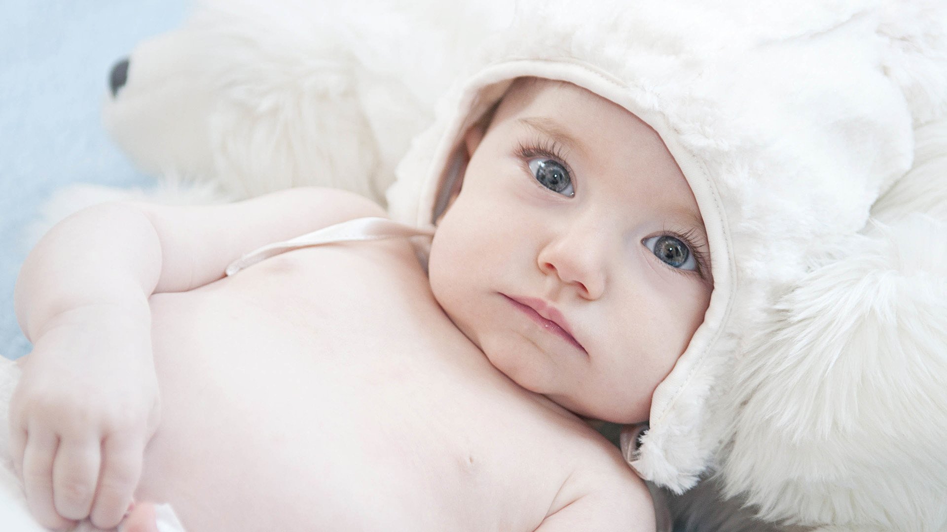 供卵公司机构在美国试管婴儿成功率